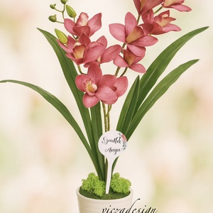 Cymbidium - csónak orchidea / Örök orchidea kerámia kaspóban többféle - Meska.hu