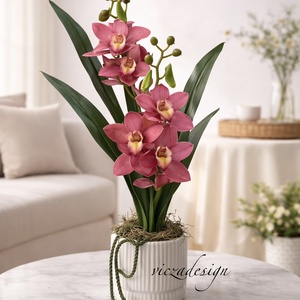 Cymbidium - csónak orchidea / Örök orchidea kerámia kaspóban többféle, Otthon & Életmód, Virágdekoráció, Virágdíszek, Virágdísz kaspóban, Virágkötés, MESKA