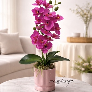 Prémium gondozásmentes orchidea - Meska.hu