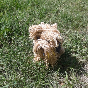 Horgolt Yorki-kutyus -  - Meska.hu