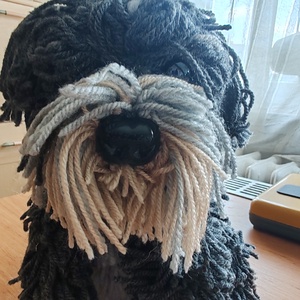 Havanese kutyus - kellékek & szerszámok - Meska.hu