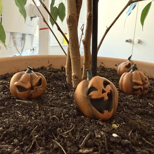 Mini tököcskék halloweeni és őszi dekoráció - otthon & életmód - dekoráció - halloween - halloweeni dekoráció - Meska.hu