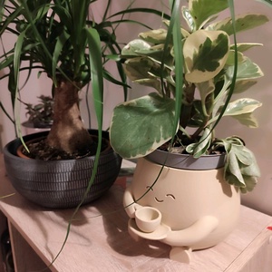 Kis Kávézó Ültető Köcsög - otthon & életmód - virágdekoráció - virágtartó - kaspó - Meska.hu