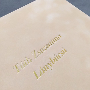 Lánybúcsú, Legénybúcsú oklevél, velúr díszmappával, velúr dísztok, A4, többféle színben - otthon & életmód - papír, írószer - mappa - Meska.hu