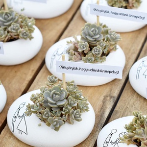Köszönőajándék vendégeknek kövirózsával - esküvő - emlék & ajándék - köszönőajándék - Meska.hu