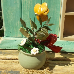 AKCIÓ ! Árvácska kaspóban. - otthon & életmód - dekoráció - virágdekoráció - virágdíszek - virágdísz kaspóban - Meska.hu