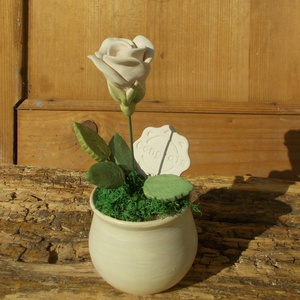 Rózsa kaspóban., Otthon & Életmód, Dekoráció, Asztal és polc dekoráció, Asztaldísz, Kerámia, Virágkötés, MESKA