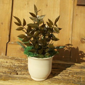 Virágok kaspóban. - otthon & életmód - dekoráció - asztal és polc dekoráció - asztaldísz - Meska.hu