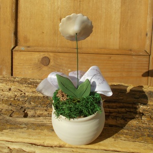 Virág kaspóban. - otthon & életmód - dekoráció - asztal és polc dekoráció - asztaldísz - Meska.hu Virág kaspóban. - otthon & életmód - dekoráció - asztal és polc dekoráció - asztaldísz - Meska.hu