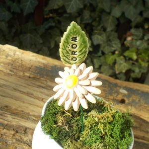 Öröm - otthon & életmód - ház & kert - növény & veteményes - Meska.hu Öröm - otthon & életmód - ház & kert - növény & veteményes - Meska.hu