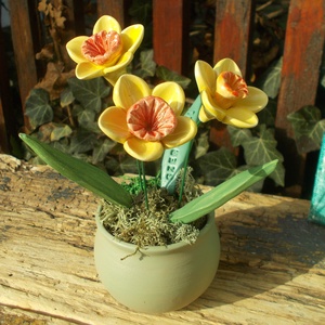 Nárciszok kaspóban - otthon & életmód - dekoráció - virágdekoráció - virágdíszek - virágdísz kaspóban - Meska.hu