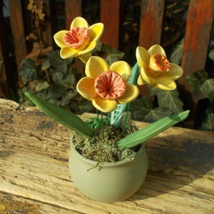 Nárciszok kaspóban - otthon & életmód - dekoráció - virágdekoráció - virágdíszek - virágdísz kaspóban - Meska.hu