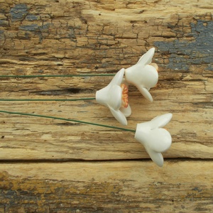 Fehér nárciszok - otthon & életmód - ház & kert - növény & veteményes - Meska.hu