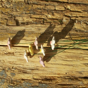 Apró virágok - otthon & életmód - ház & kert - kerti dísz - Meska.hu