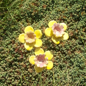 Tavaszi virágok - otthon & életmód - virágdekoráció - virágok - szálas virág - Meska.hu