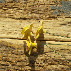 Tavaszi virágok - otthon & életmód - virágdekoráció - virágok - szálas virág - Meska.hu