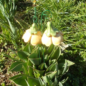 Csengő-bongó    virágok - Meska.hu