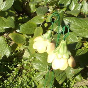 Csengő-bongó    virágok - otthon & életmód - ház & kert - kerti dísz - Meska.hu