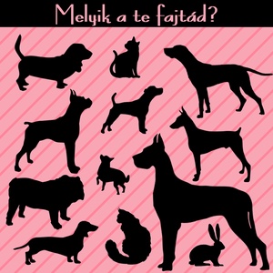 Nyuszis kép -  - Meska.hu