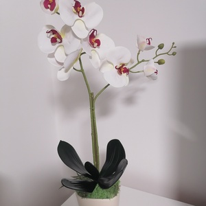Orchidea, Otthon & Életmód, Virágdekoráció, Virágdíszek, Virágdísz kaspóban, Virágkötés, MESKA