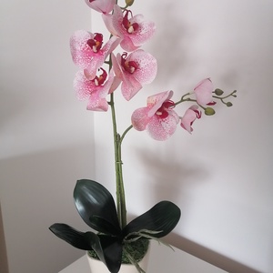 Orchidea, Otthon & Életmód, Virágdekoráció, Virágdíszek, Virágdísz kaspóban, Virágkötés, MESKA