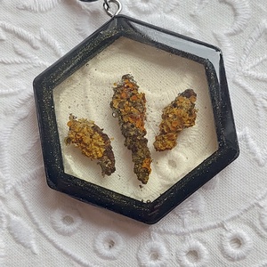 Zuzmós gyanta medál. Fekete fakeretes gyanta nyakék. Természetes ékszer. - ékszer - nyaklánc - medál - Meska.hu