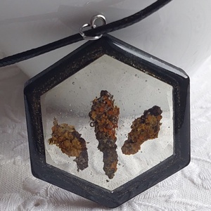 Zuzmós gyanta medál. Fekete fakeretes gyanta nyakék. Természetes ékszer. - ékszer - nyaklánc - medál - Meska.hu