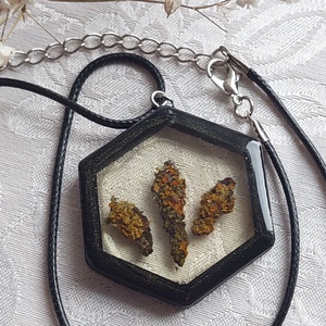 Zuzmós gyanta medál. Fekete fakeretes gyanta nyakék. Természetes ékszer. - ékszer - nyaklánc - medál - Meska.hu