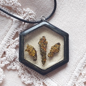 Zuzmós gyanta medál. Fekete fakeretes gyanta nyakék. Természetes ékszer. - Meska.hu