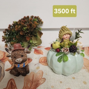 Mini kaspós kis őszi dísz - otthon & életmód - dekoráció - asztal és polc dekoráció - asztaldísz - Meska.hu