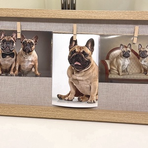 Francia bulldog barna  falikép, falidísz, asztaldísz - otthon & életmód - dekoráció - kép & falikép - plakát - Meska.hu