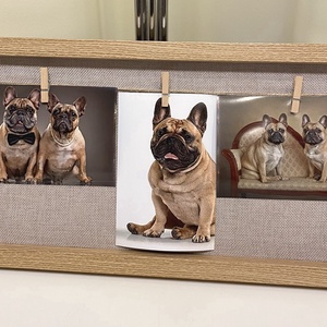 Francia bulldog barna  falikép, falidísz, asztaldísz - otthon & életmód - dekoráció - kép & falikép - plakát - Meska.hu