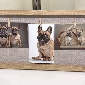 Francia bulldog barna  falikép, falidísz, asztaldísz, Otthon & Életmód, Dekoráció, Kép & Falikép, Plakát, Fotó, grafika, rajz, illusztráció, MESKA