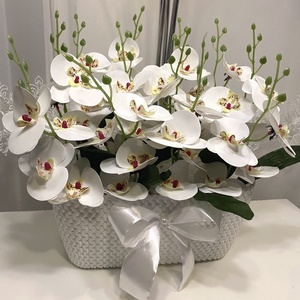 Hófehér Orchidea nagy virágbox, Otthon & Lakás, Dekoráció, Virágdísz és tartó, Virágbox, virágdoboz, Virágkötés, MESKA
