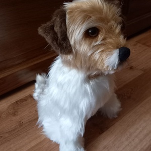 Egyedi plüss kutya fotó alapján - játék & sport - plüssállat & játékfigura - kutya - Meska.hu