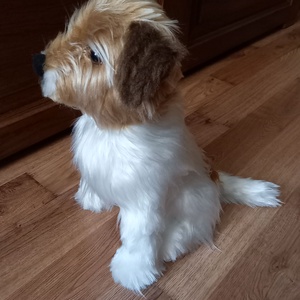 Egyedi plüss kutya fotó alapján - játék & sport - plüssállat & játékfigura - kutya - Meska.hu