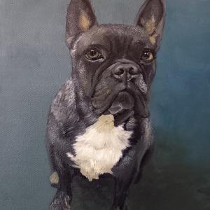 Egyedi olajfestmény fotó alapján Francia bulldog - Meska.hu