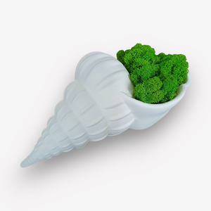 Csiga asztal vagy falidísz zuzmóval  - otthon & életmód - dekoráció - asztal és polc dekoráció - asztaldísz - Meska.hu