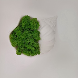 Csiga asztal vagy falidísz zuzmóval  - otthon & életmód - dekoráció - asztal és polc dekoráció - asztaldísz - Meska.hu