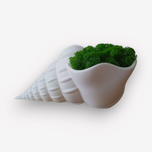 Csiga asztal vagy falidísz zuzmóval  - otthon & életmód - dekoráció - asztal és polc dekoráció - asztaldísz - Meska.hu