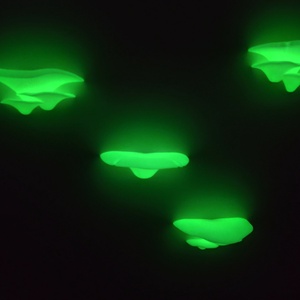 Gomba polcok - sötétben világító - otthon & életmód - bútor - polc - Meska.hu