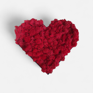 Valentin Napi zuzmó szív, Otthon & Életmód, Dekoráció, Fali és függő dekoráció, Zuzmókép, Mohakép, Virágkötés, Mindenmás, MESKA