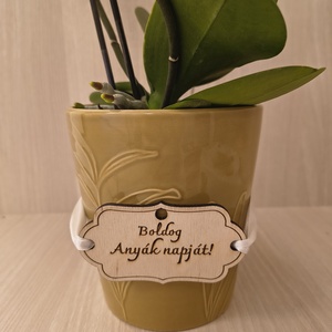 Ajándék, csokor dekoráció , Kellékek & szerszámok, Dekorációs kellékek, Egyéb kellékek, Gravírozás, pirográfia, MESKA