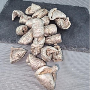 Új szÍn! lali - metál pezsgő 5 dkg, Kellékek & szerszámok, Dekorációs kellékek, Termések, terméscsomagok, , MESKA