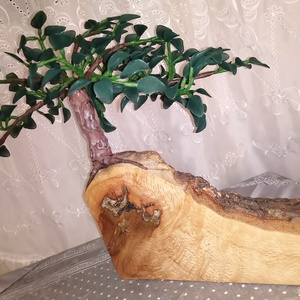 Bonsai Sutokkingu - otthon & életmód - dekoráció - asztal és polc dekoráció - bonsai - Meska.hu