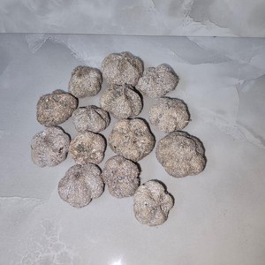 Fokhagyma termés - falfestékes szürke 4 dkg, Kellékek & szerszámok, Dekorációs kellékek, Termések, terméscsomagok, , MESKA