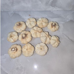 Fokhagyma termés - fehérített 4 dkg, Kellékek & szerszámok, Dekorációs kellékek, Termések, terméscsomagok, , MESKA