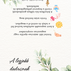 Pedagógus ajándék - méhlegelő virágmag keverék - otthon & életmód - papír, írószer - ajándékozás kellékei - ajándékkísérő - Meska.hu