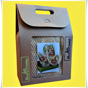 WoodYdreams zöldség-gyümölcsös ökozacskó szett 100% organikos pamutból - táska & tok - bevásárlás & shopper táska - zöldség/gyümölcs zsák - Meska.hu