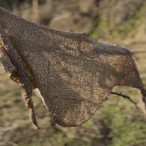 Arany színű, metálfényű kötött kendő - ruha & divat - sál, sapka, kendő - fejpánt - Meska.hu